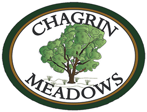 Chagrin Meadows